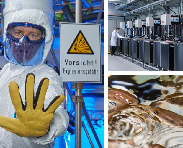 Kompetenzfelder Sicherheit, Regulatorik und Bewertung